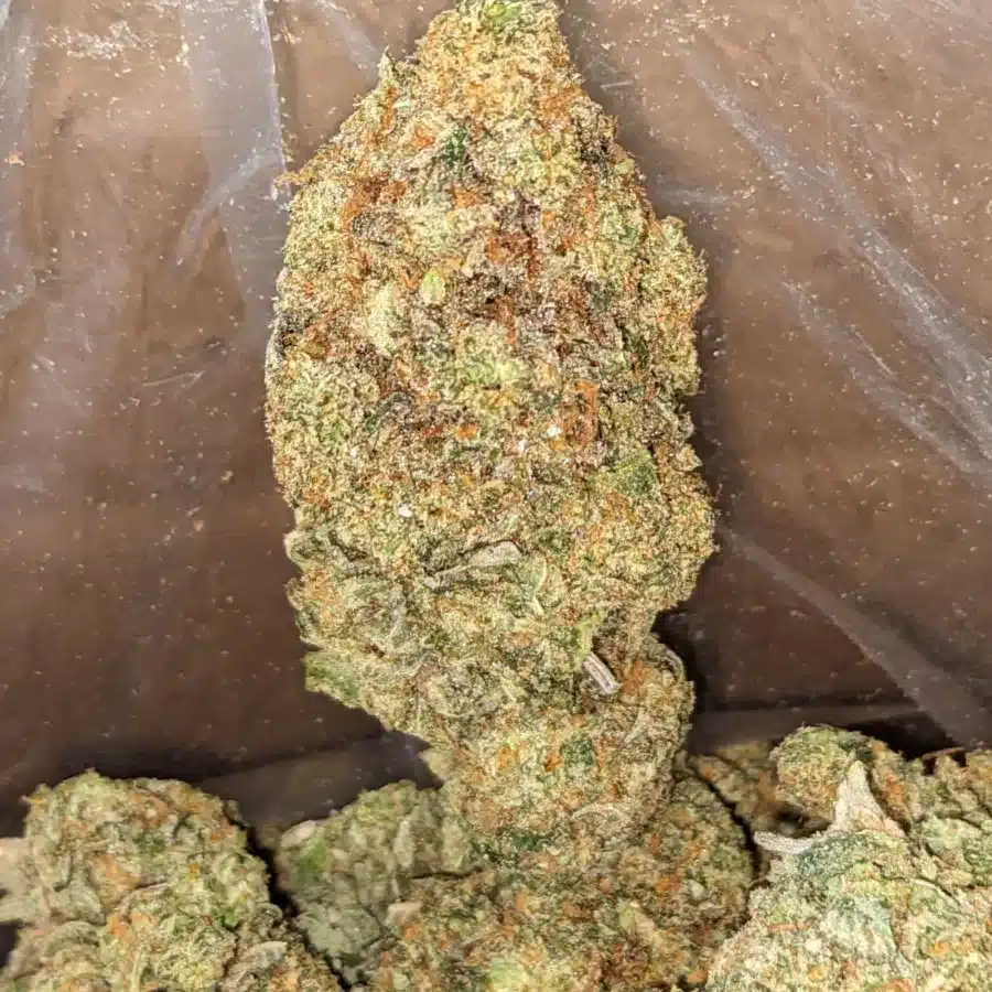Agent Orange 4 I Agent Orange