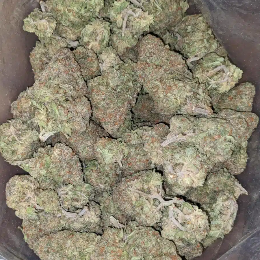 Alaskan Thunder Fuck 1 I Alaskan ThunderFuck