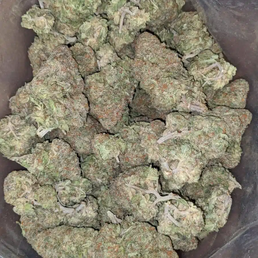 Alaskan Thunder Fuck 2 I Alaskan ThunderFuck