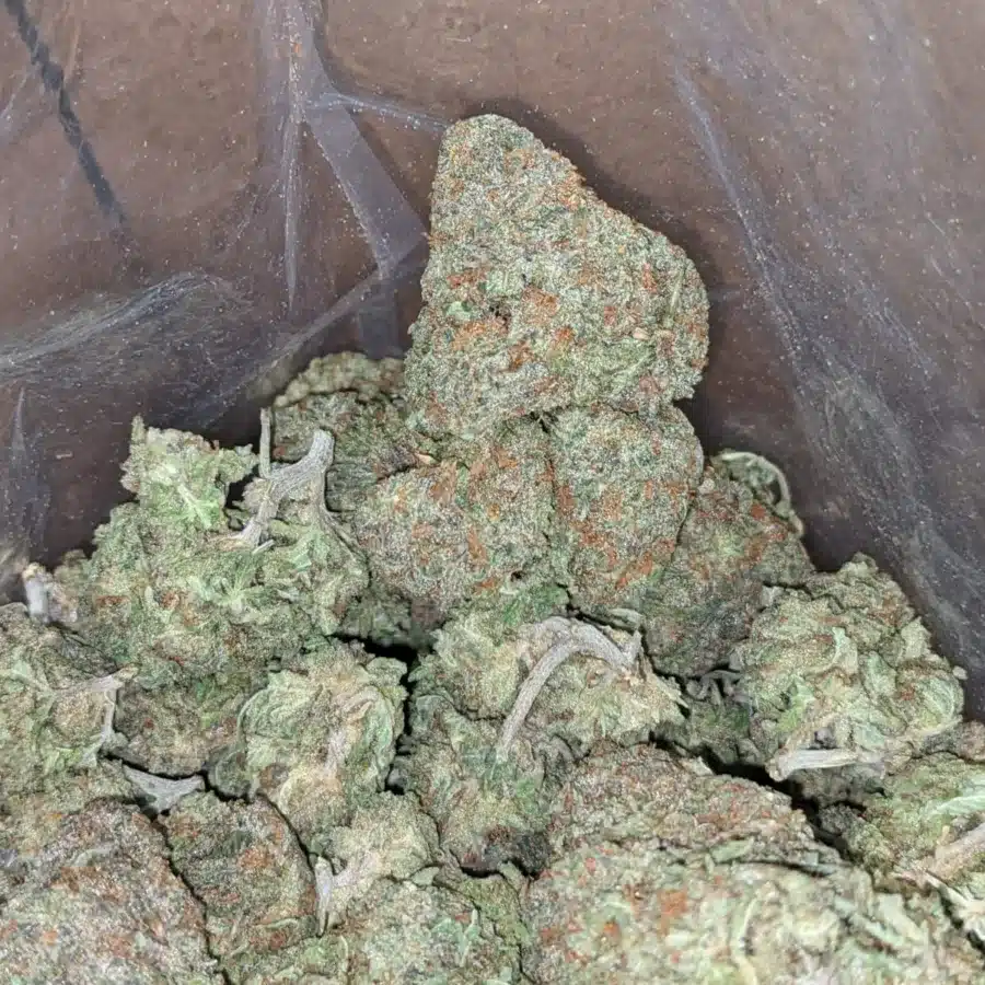 Alaskan Thunder Fuck 3 I Alaskan ThunderFuck