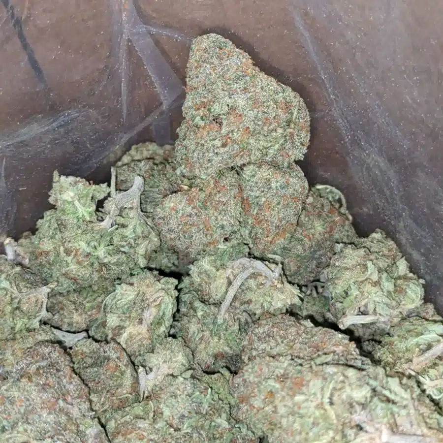 Alaskan Thunder Fuck 4 I Alaskan ThunderFuck