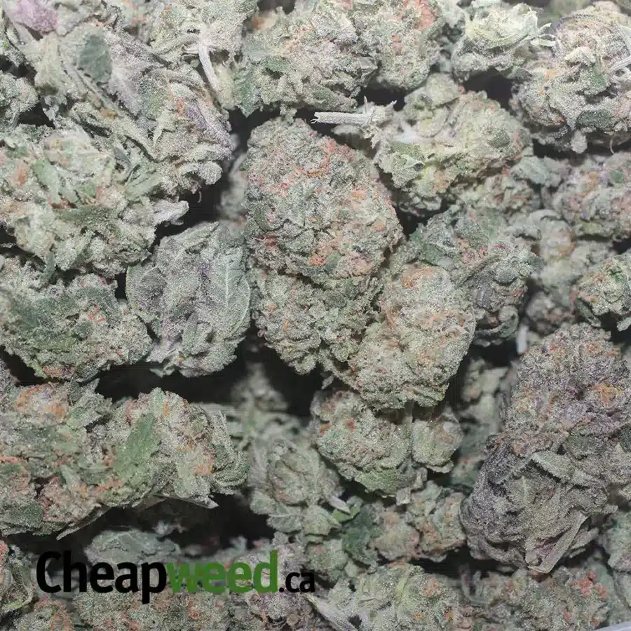 BANANA OG 1 I Banana OG