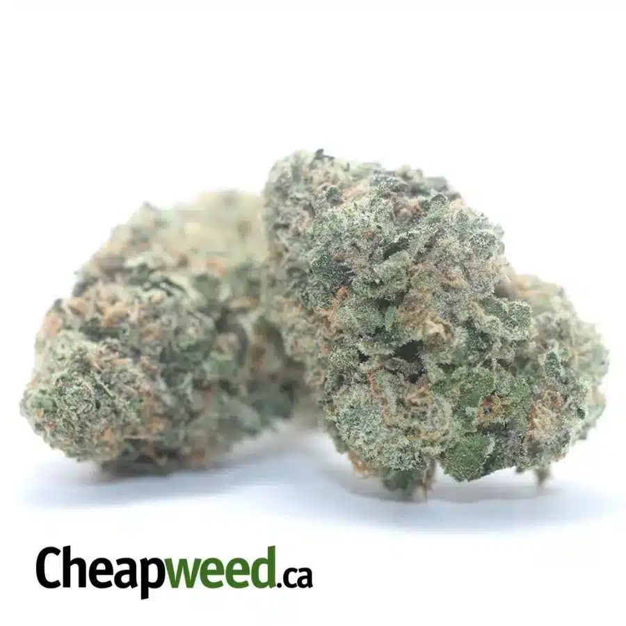 BANANA OG 3 I Banana OG