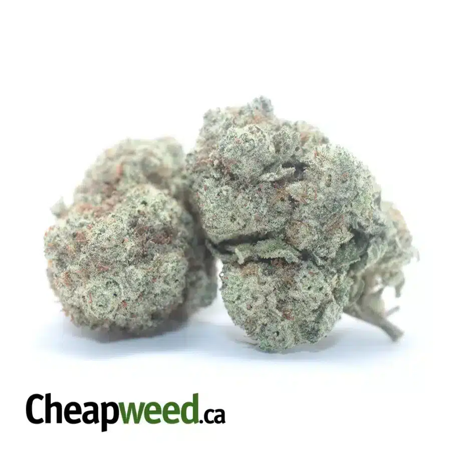 Alternative view of $ 50 Oz - Boston Cream