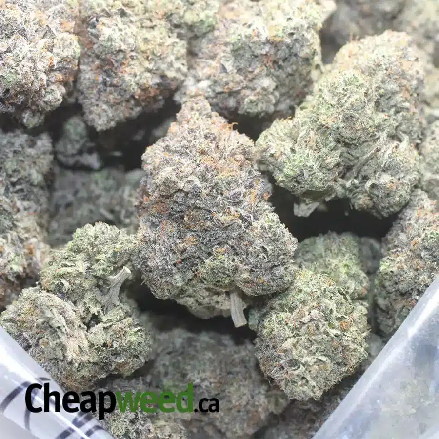 BRUCE BANNER 1 I Bruce Banner