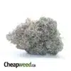 Bruce Banner