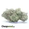 Bubba Wreck
