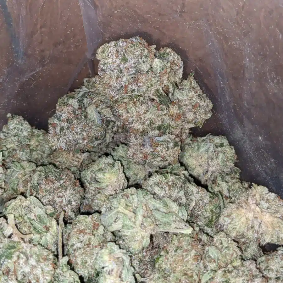 Bubba Kush 1 1 I $ 52 Oz - Bubba Kush