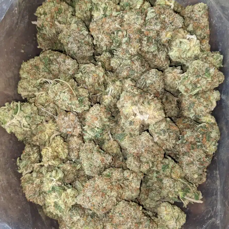 Bubba Wreck