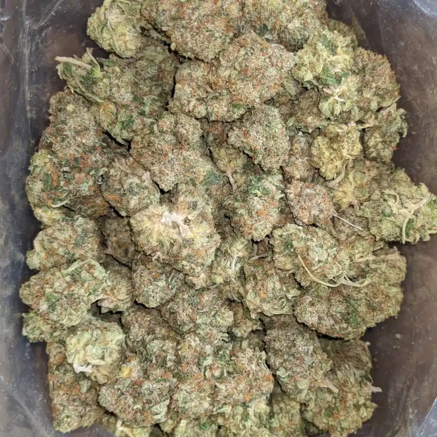 Bubba Wreck 2 1 I Bubba Wreck