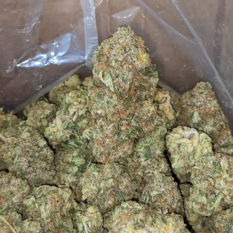 Bubba Wreck 4 I Bubba Wreck