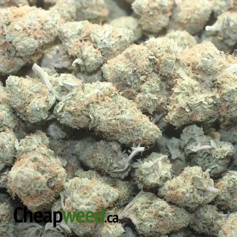 CANDY KUSH 1 I $47oz Candy Kush