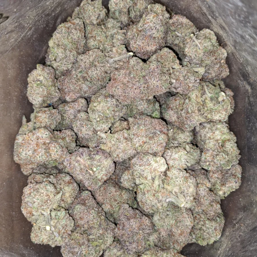 Cap Junky - Image 4