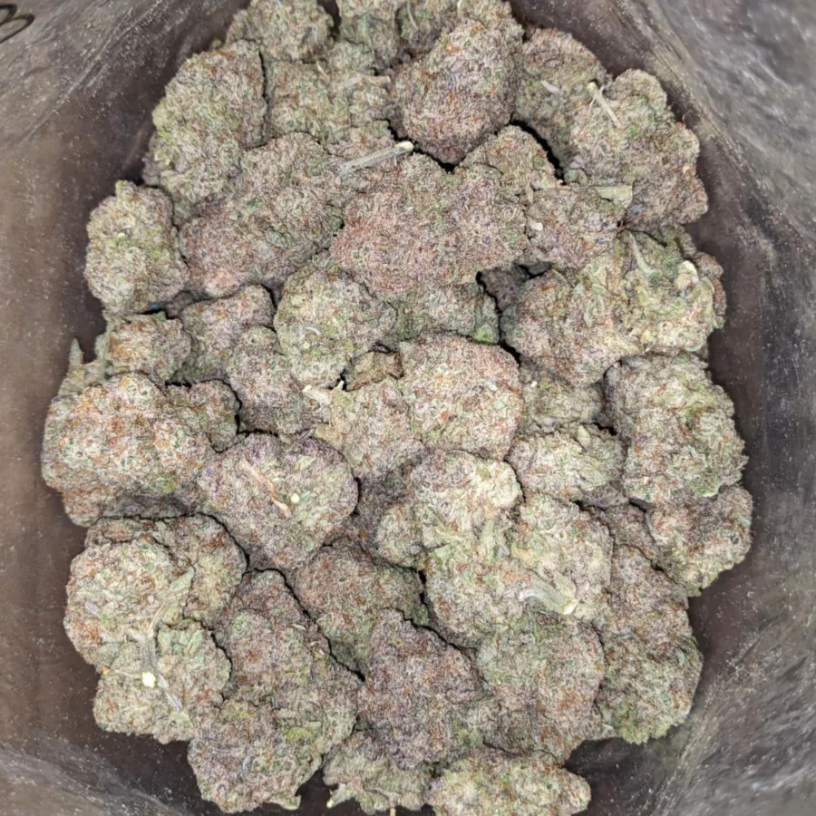 Cap Junky - Image 7