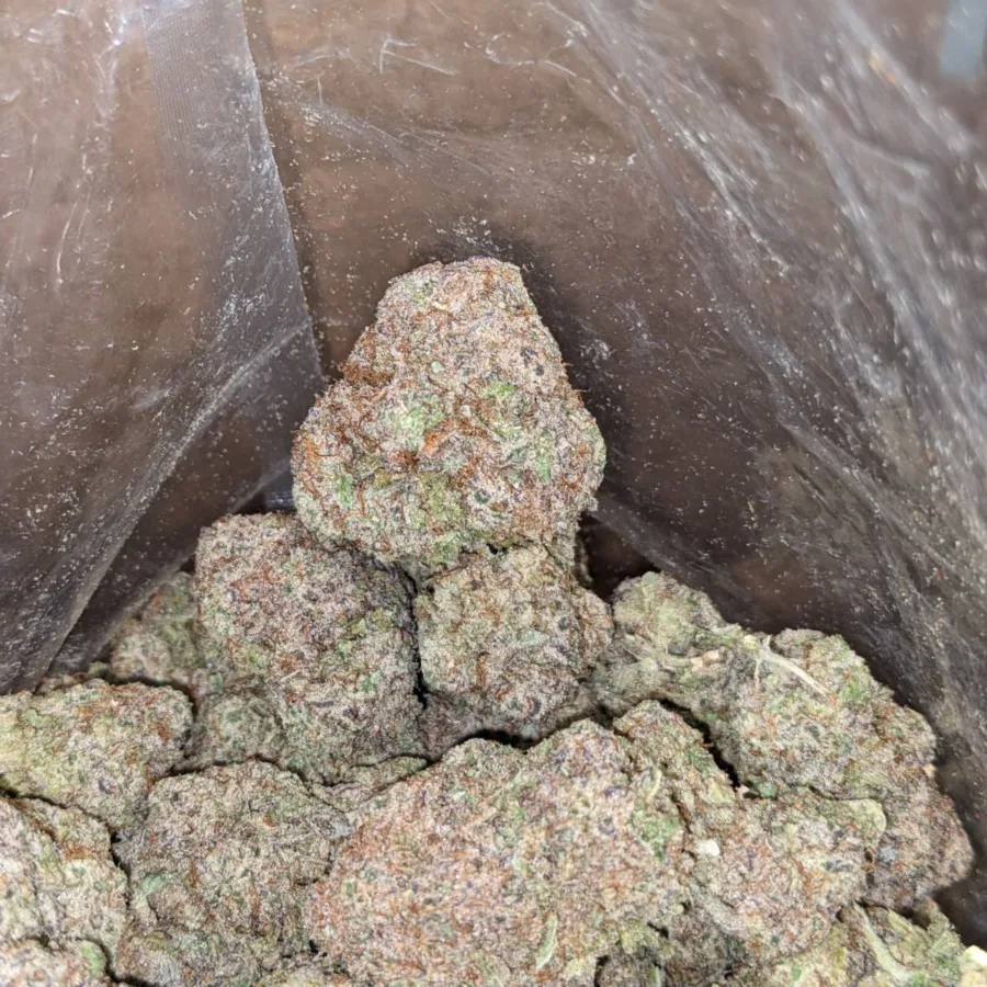 Cap Junky - Image 6