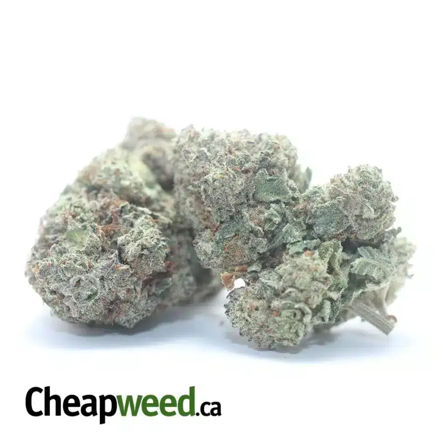 Alternative view of Donkey Breath