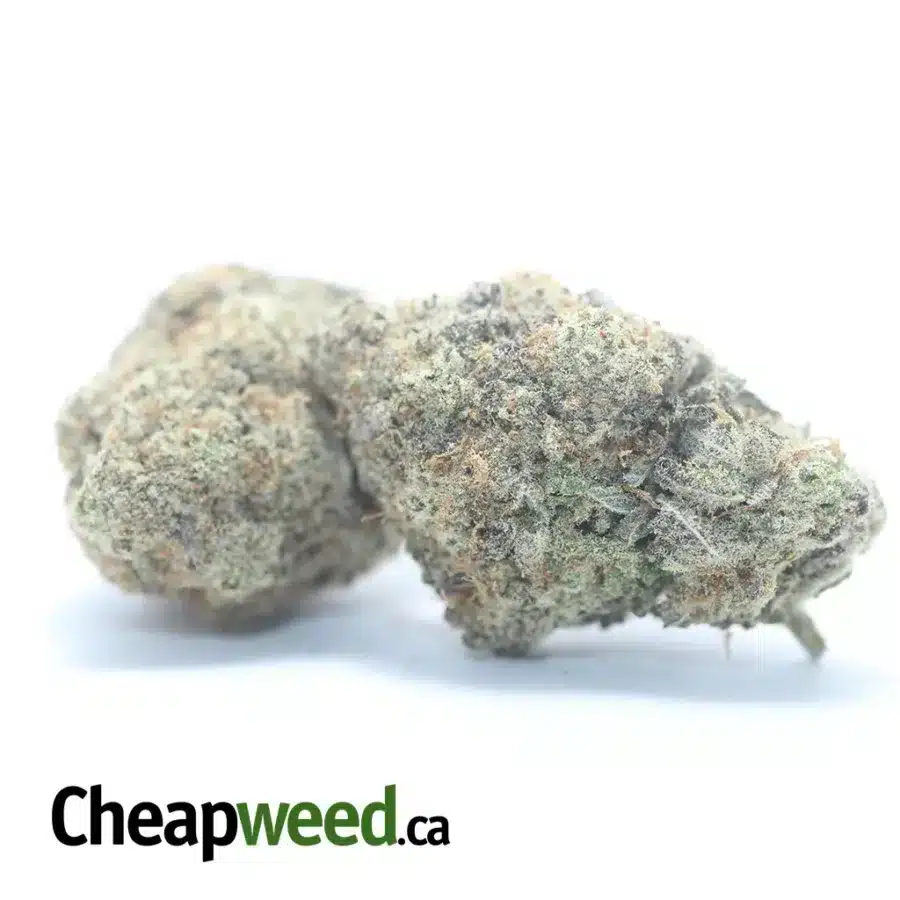 GHOST COOKIES 3 I Ghost Cookies