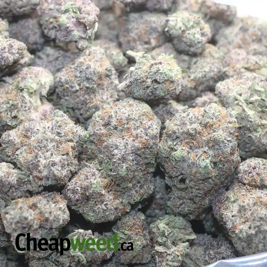 GODS GREEN CRACK 1 I God's Green Crack