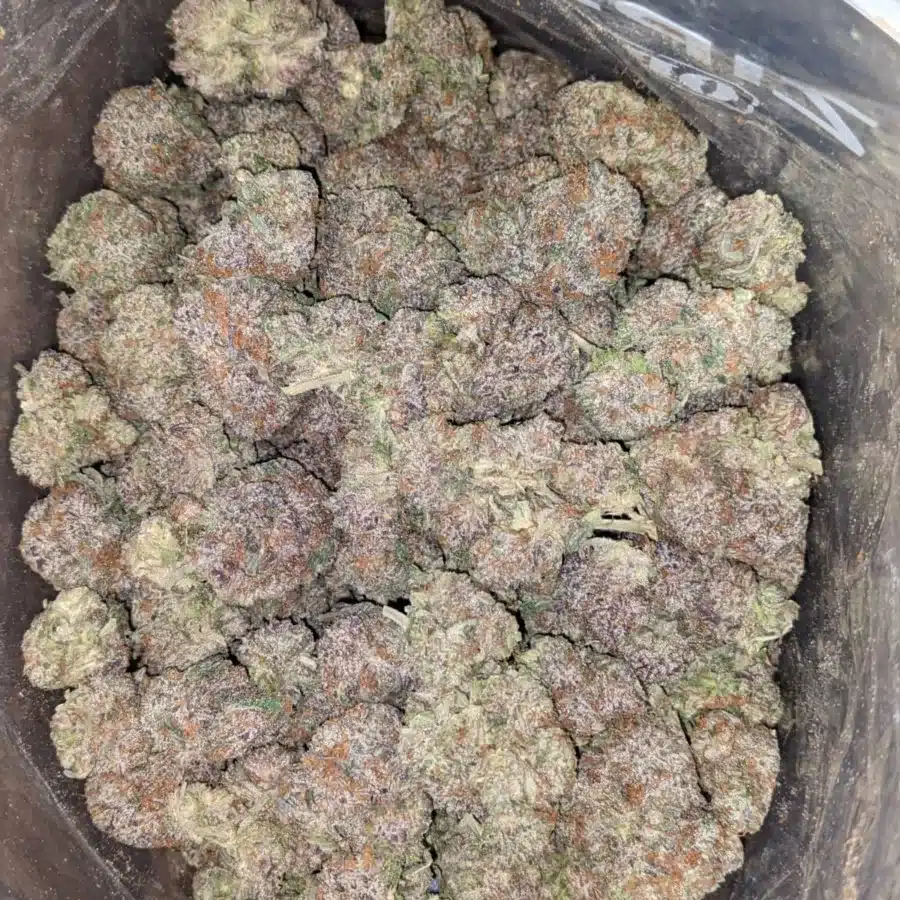 GRAND DADDY PURPLE 2 I Granddaddy Purple