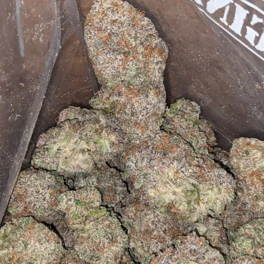 GRAND DADDY PURPLE 3 I Granddaddy Purple