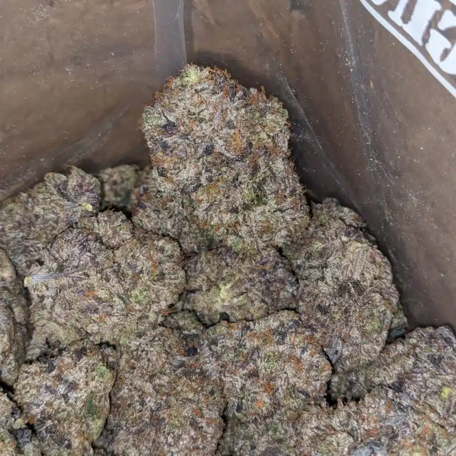 GUCCI PINK 1 1 I Gucci Pink