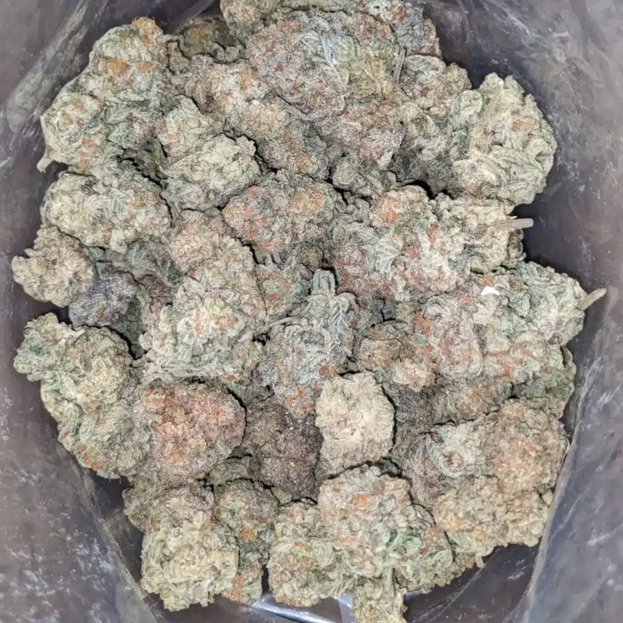 Garlic Breath