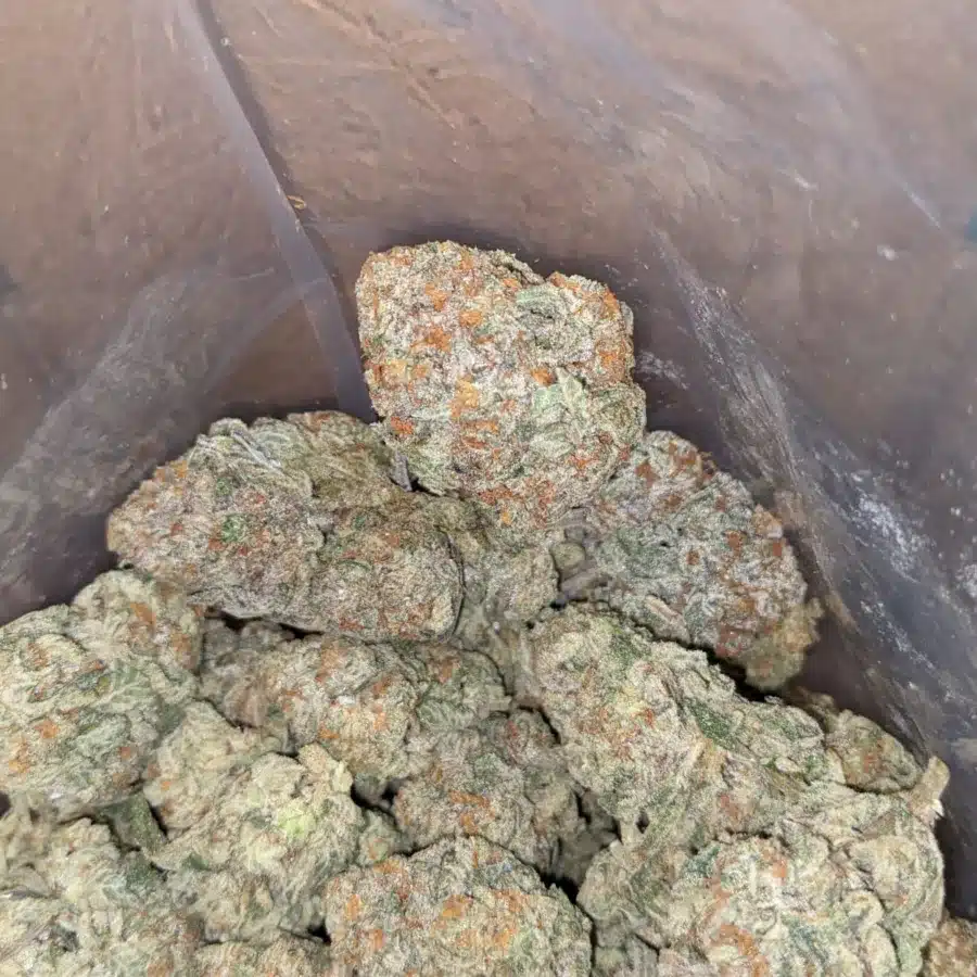 Garlic Breath - Image 5