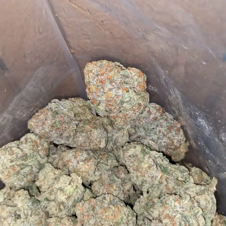 Garlic Breath - Image 4