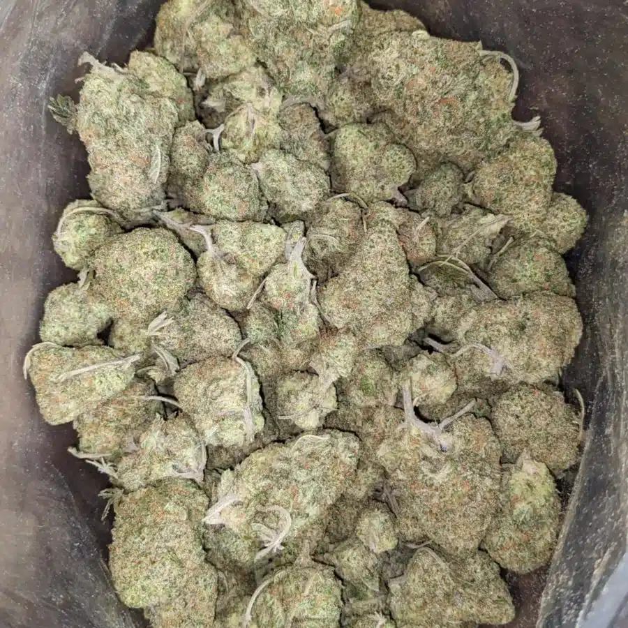 Girl scout cookies 2 1 I Girl Scout Cookies