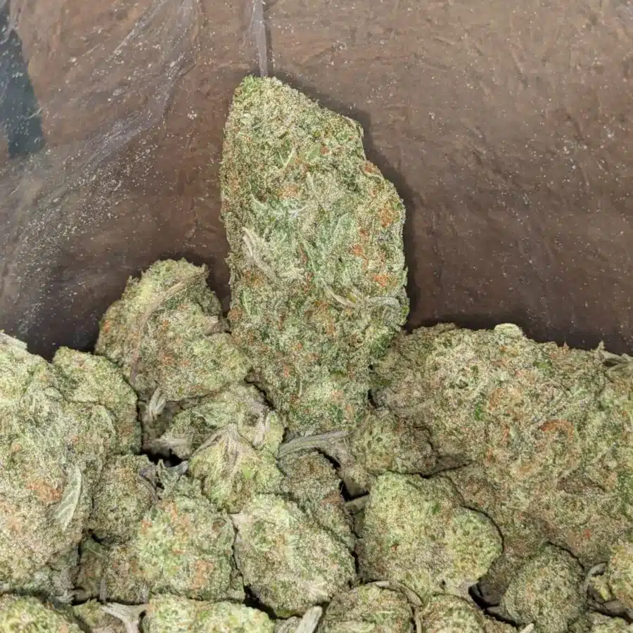 Girl scout cookies 3 1 I Girl Scout Cookies