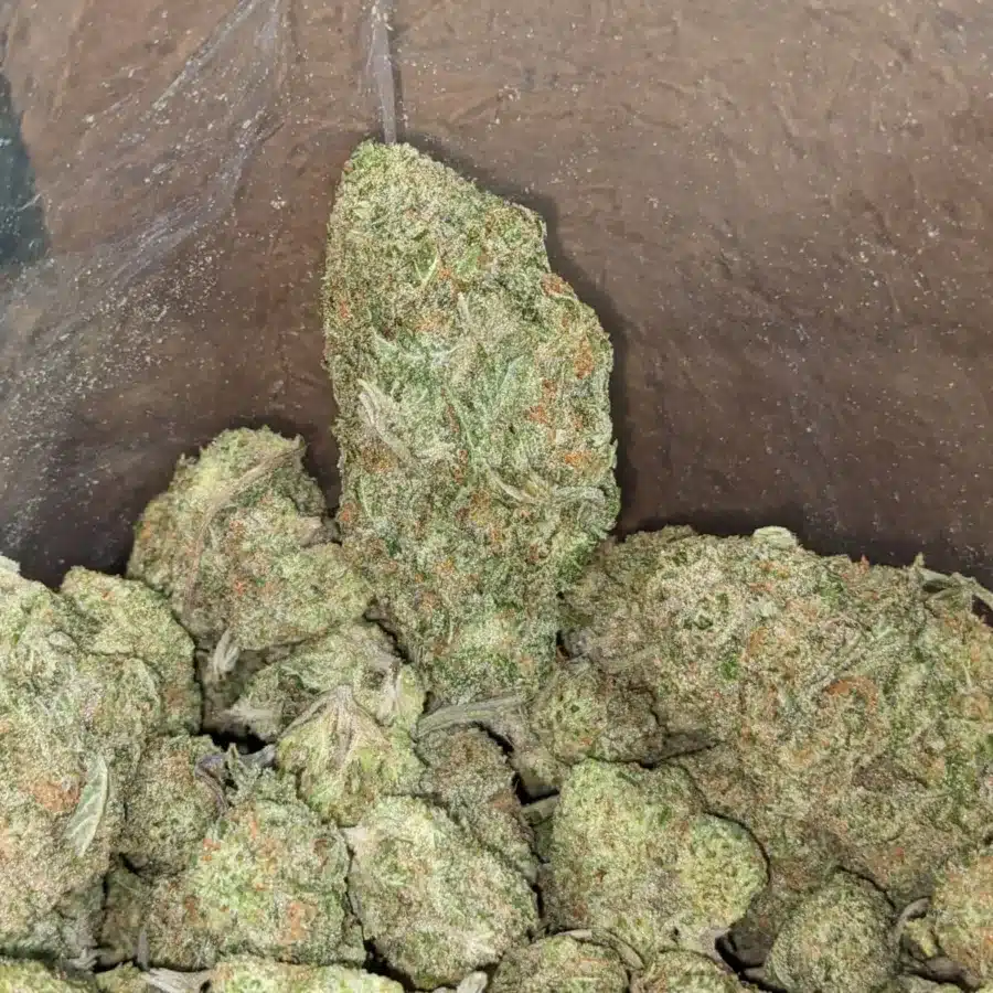 Girl scout cookies 4 I Girl Scout Cookies