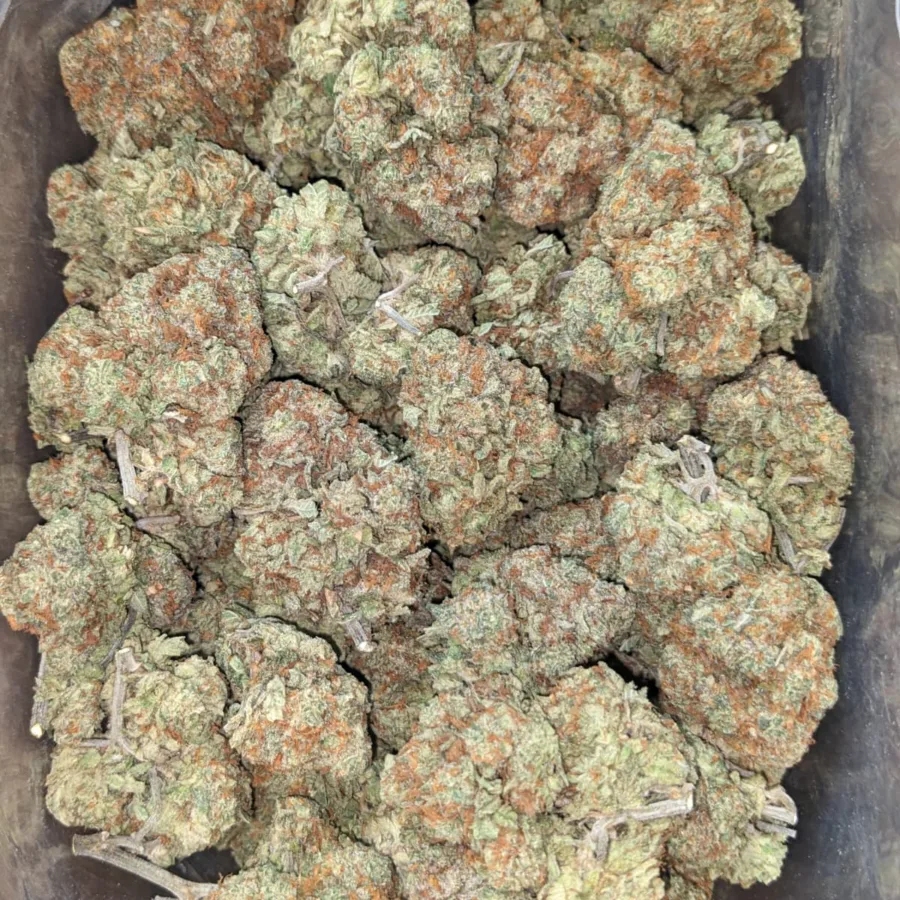 Alternative view of Grapefruit