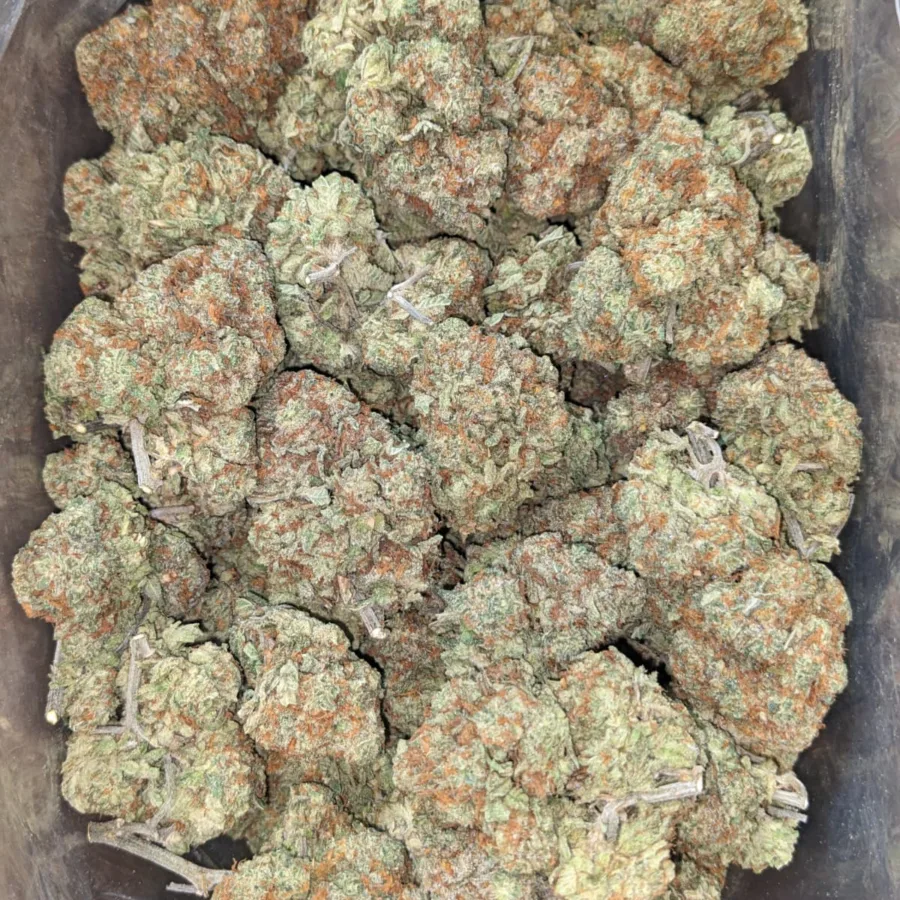 Grapefruit
