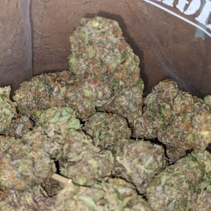 High Octane 2 1 I High Octane