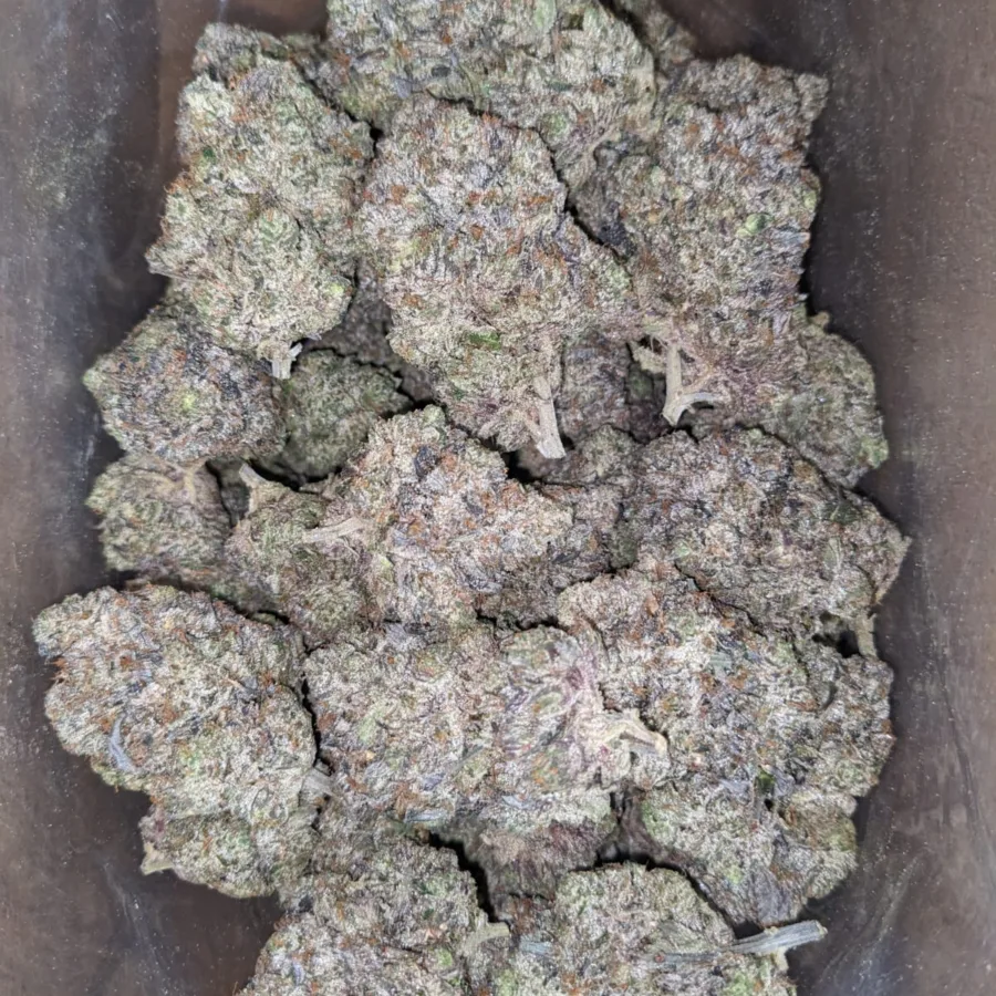 Holy Grail - Image 5