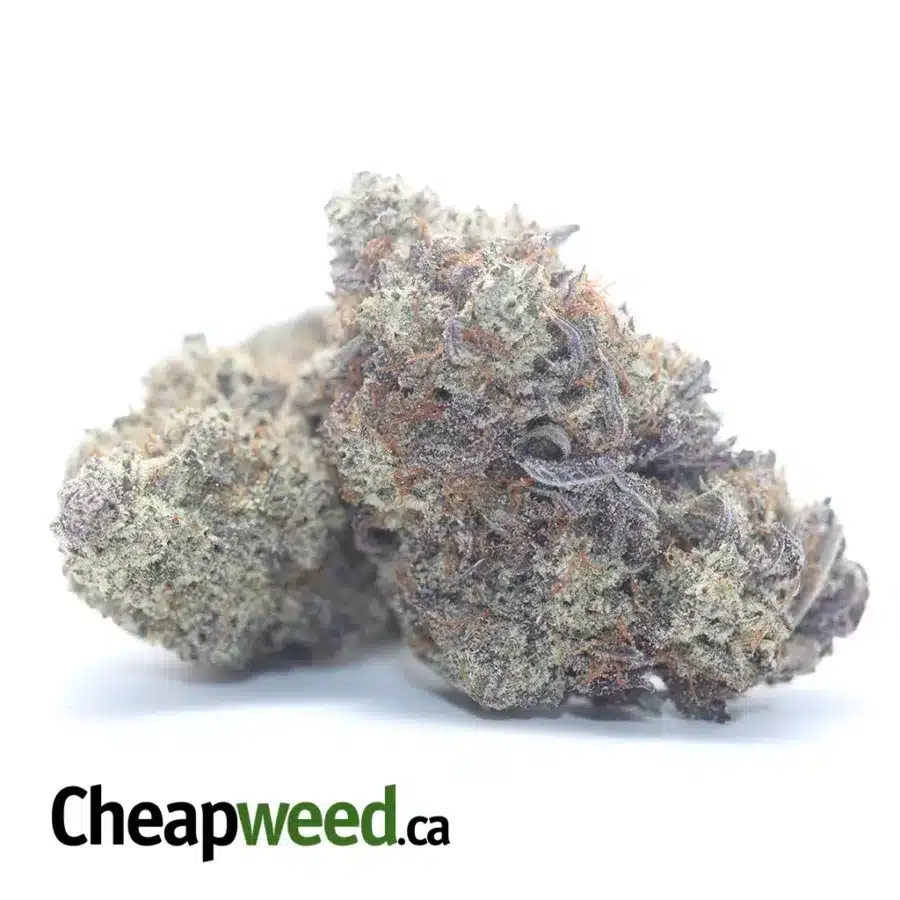 Alternative view of Jetfuel Gelato