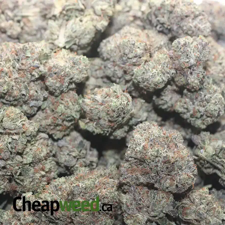 KHALIFA KUSH AAA 1 I Khalifa Kush AAA