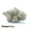 $ 49 Oz - Lemon Haze