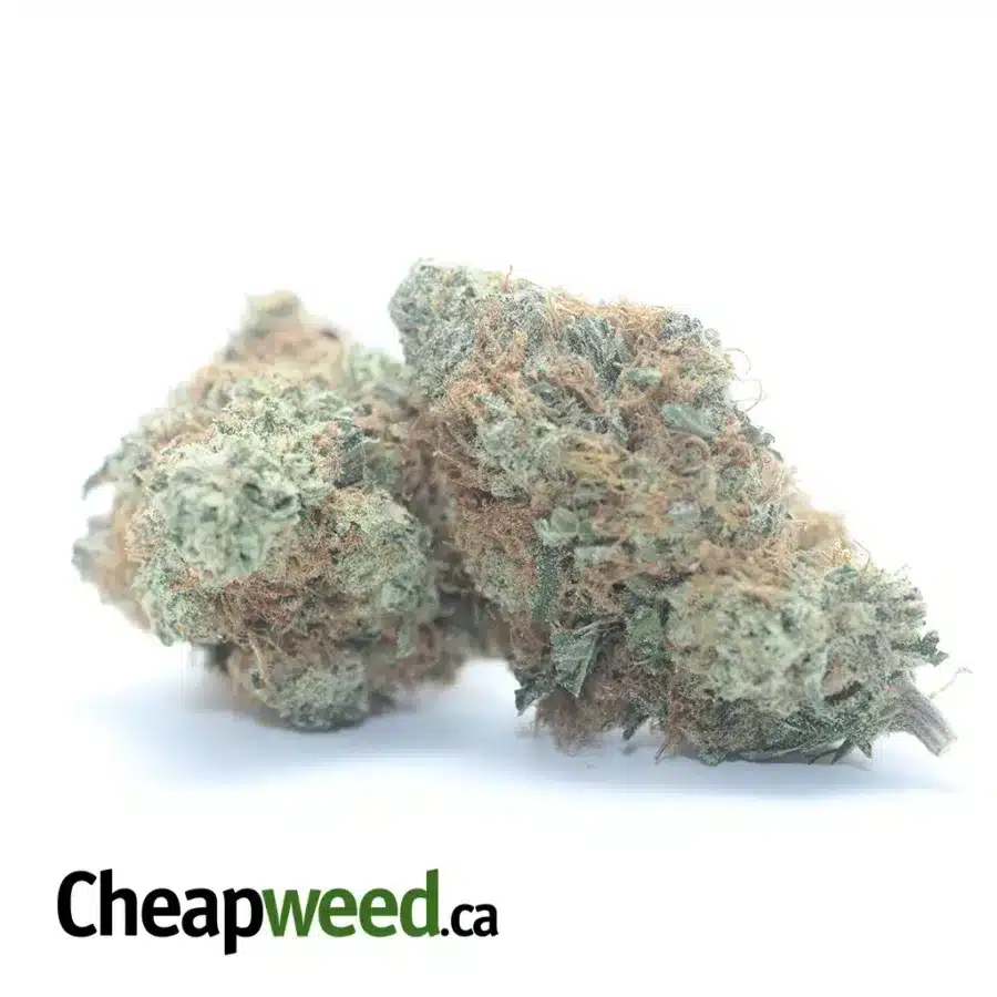 LEMON HAZE 3 I $ 49 Oz - Lemon Haze