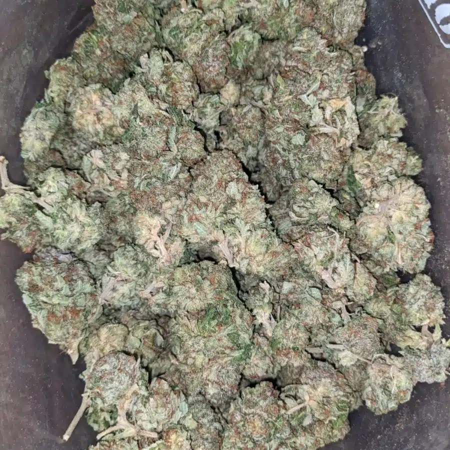 LA Confidential