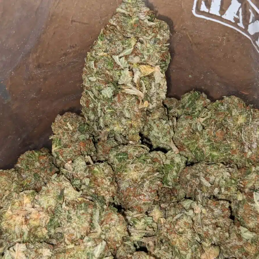 La Confidential 3 I LA Confidential