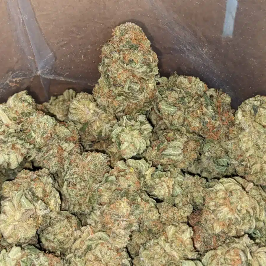 Lemon haze 1 1 I Lemon Haze
