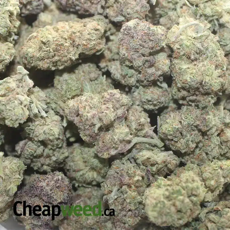 MIRACLECOOKIES 2 I $50oz Miracle Cookies