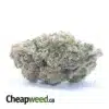 $50oz Miracle Cookies