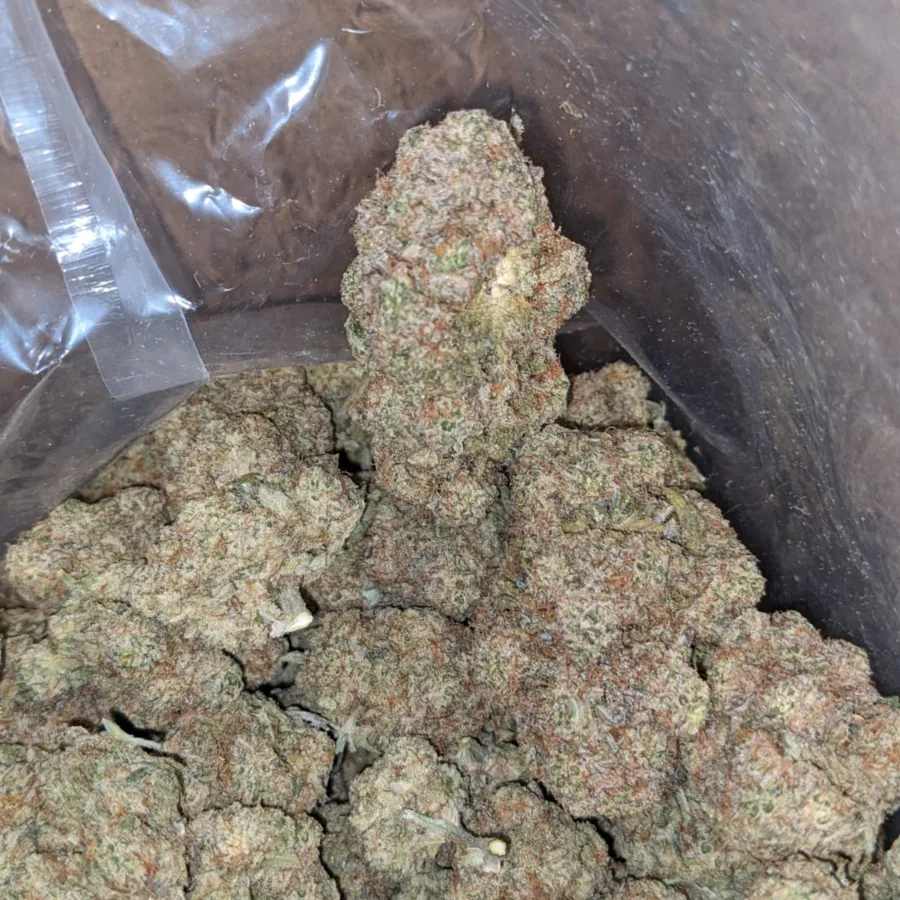 Miracle Cookies - Image 5