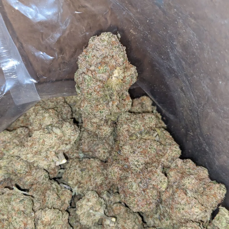 Miracle Cookies - Image 6
