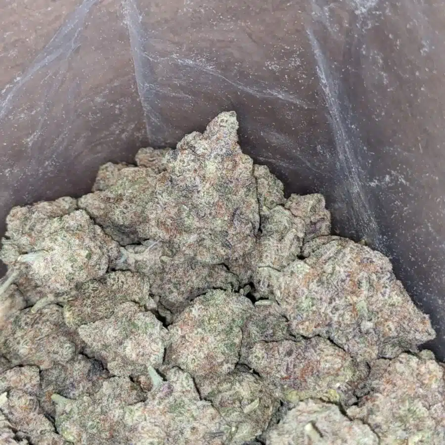 Miracle alien cookies 1 1 I Miracle Alien Cookies