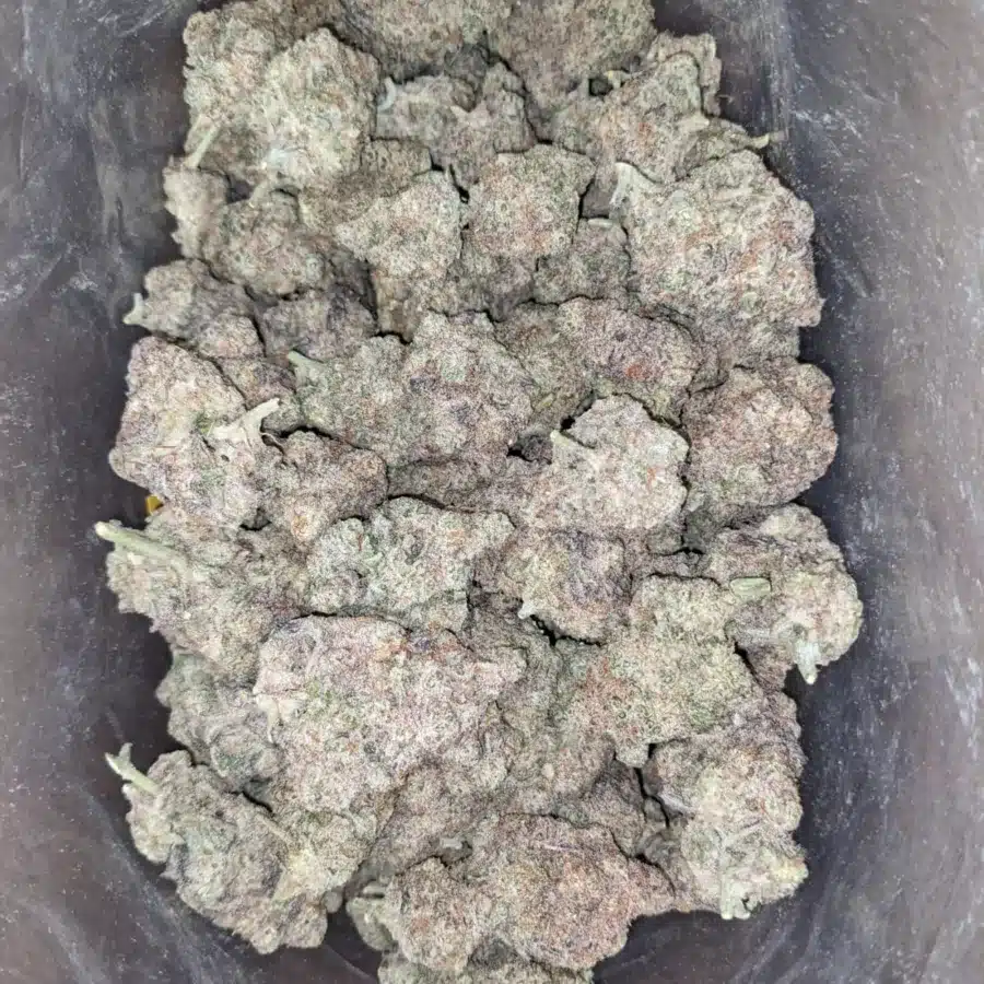 Miracle alien cookies 2 1 I Miracle Alien Cookies