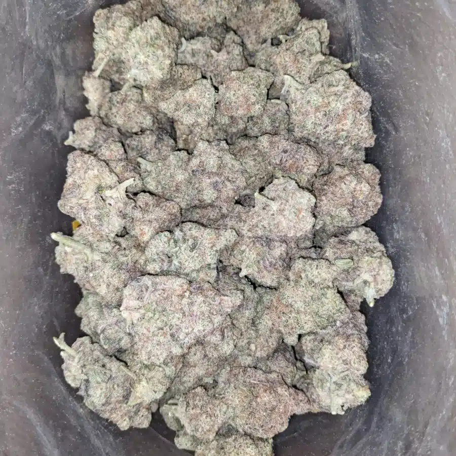 Miracle alien cookies 3 1 I Miracle Alien Cookies