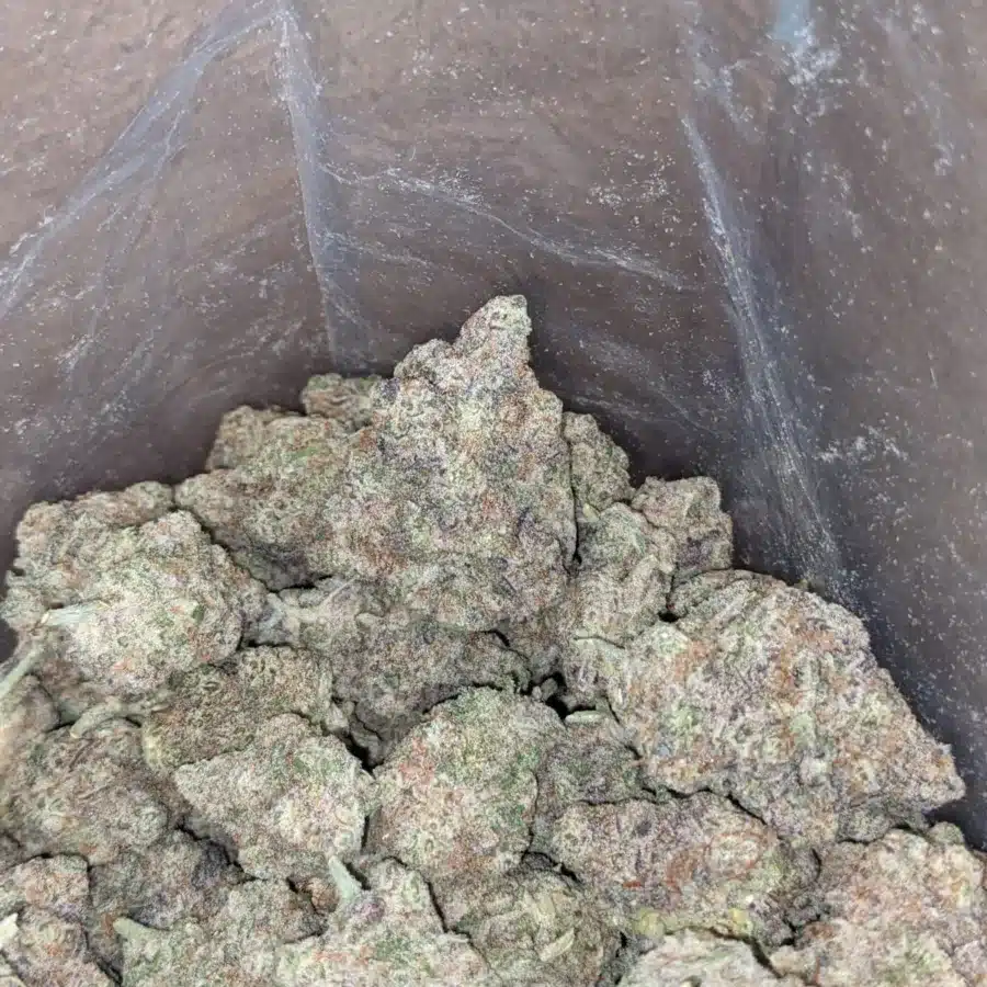 Miracle alien cookies 4 I Miracle Alien Cookies